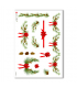 CHRISTMAS-0005. Papel de Arroz Navidad para decoupage.