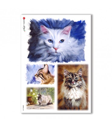 ANIMALS-0080. Animals Rice Paper for decoupage.