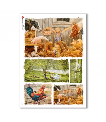 ANIMALS-0081. Carta di riso animali per decoupage.