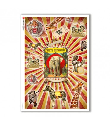 ANIMALS-0086. Carta di riso animali per decoupage.