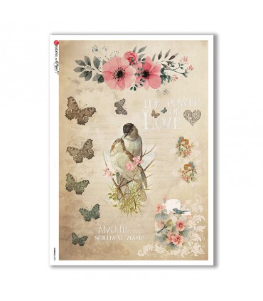 ANIMALS-0090. Papel de Arroz animales para decoupage.