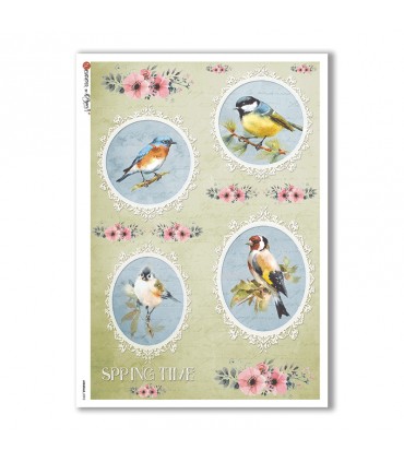 ANIMALS-0092. Carta di riso animali per decoupage.