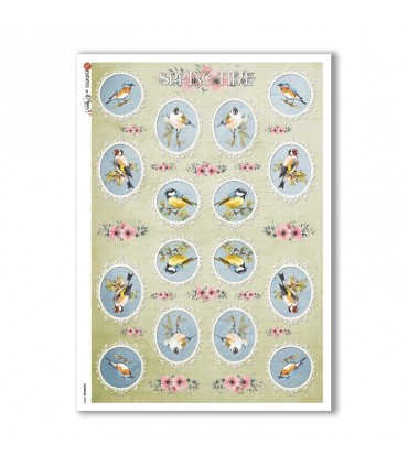 ANIMALS-0093. Animals Rice Paper for decoupage.