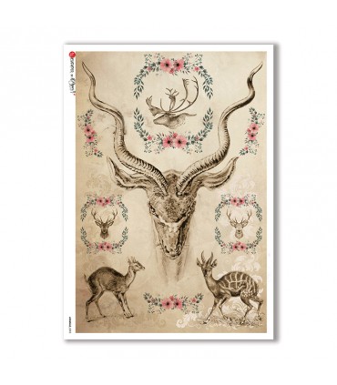 ANIMALS-0095. Animals Rice Paper for decoupage.