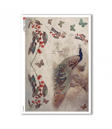 ANIMALS-0098. Carta di riso animali per decoupage.