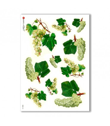 FOOD-0003. Rice Paper food for decoupage.