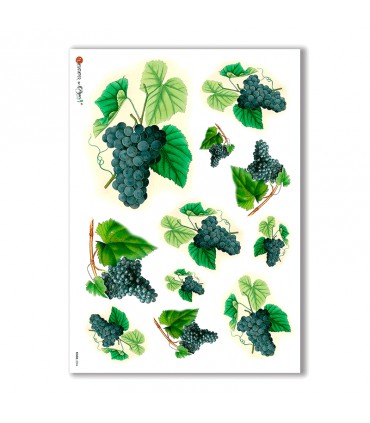 FOOD-0004. Carta di riso cucina per decoupage.