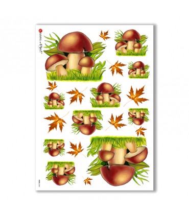 FOOD-0006. Carta di riso cucina per decoupage.