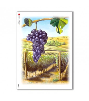 FOOD-0008. Rice Paper food for decoupage.