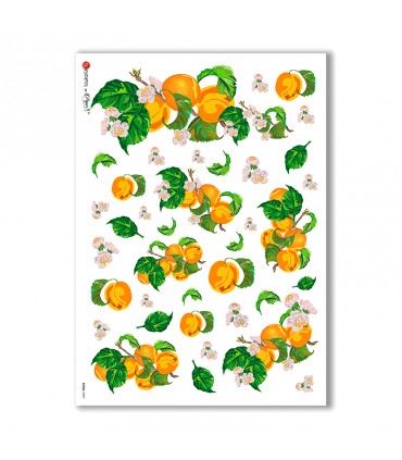 FOOD-0009. Carta di riso cucina per decoupage.