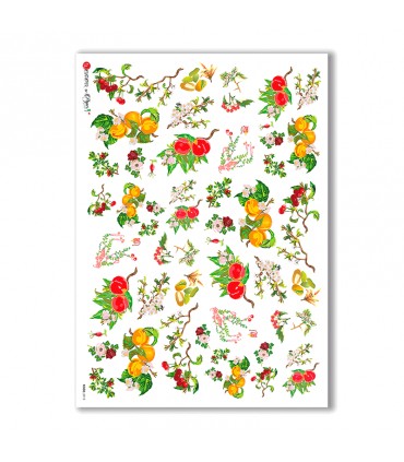 FOOD-0012. Rice Paper food for decoupage.