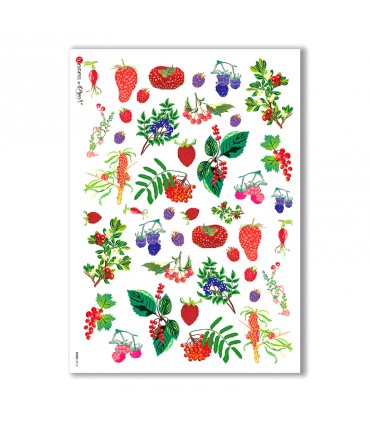 FOOD-0013. Carta di riso cucina per decoupage.