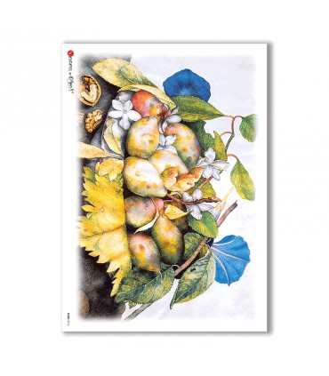 FOOD-0016. Carta di riso cucina per decoupage.