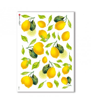 FOOD-0017. Rice Paper food for decoupage.