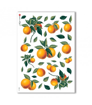 FOOD-0018. Carta di riso cucina per decoupage.