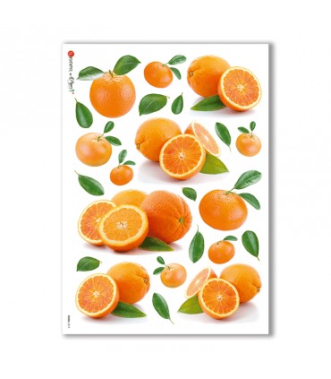 FOOD-0019. Rice Paper food for decoupage.