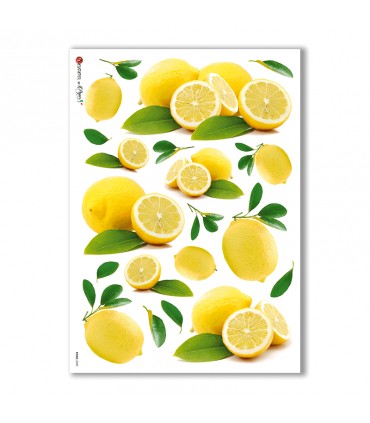 FOOD-0020. Carta di riso cucina per decoupage.