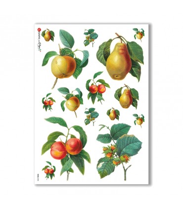 FOOD-0030. Carta di riso cucina per decoupage.