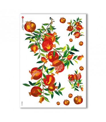 FOOD-0034. Rice Paper food for decoupage.