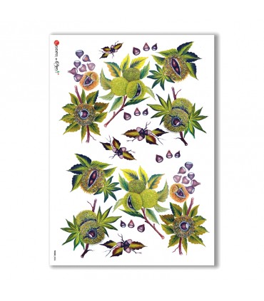 FOOD-0036. Carta di riso cucina per decoupage.