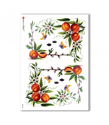 FOOD-0040. Rice Paper food for decoupage.