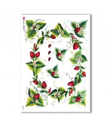 FOOD-0041. Carta di riso cucina per decoupage.