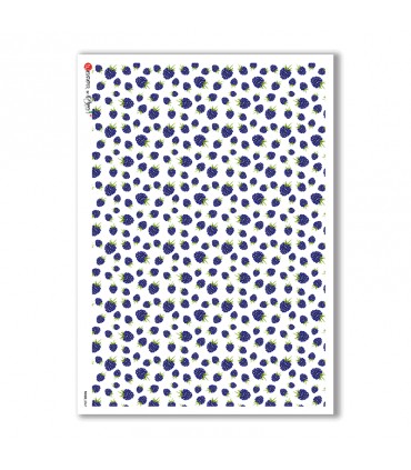 FOOD-0067. Carta di riso cucina per decoupage.