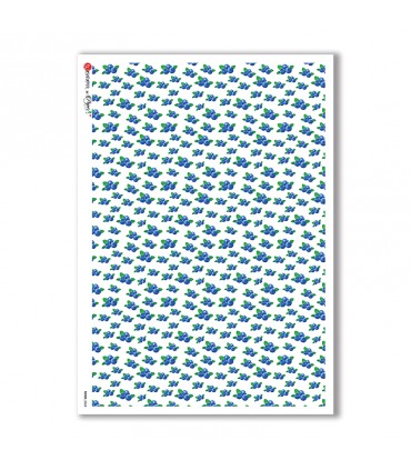 FOOD-0068. Rice Paper food for decoupage.