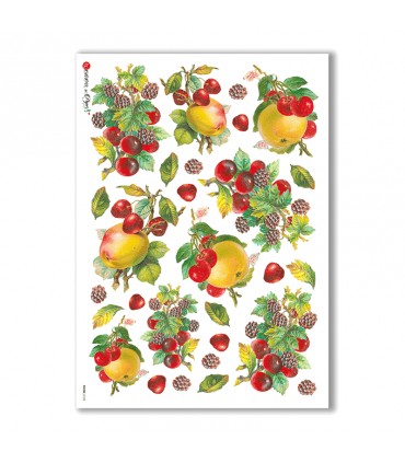 FOOD-0109. Rice Paper food for decoupage.