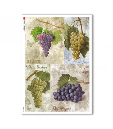 FOOD-0113. Carta di riso cucina per decoupage.