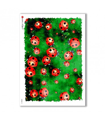 PATTERN-0011. Papel de Arroz texture para decoupage.