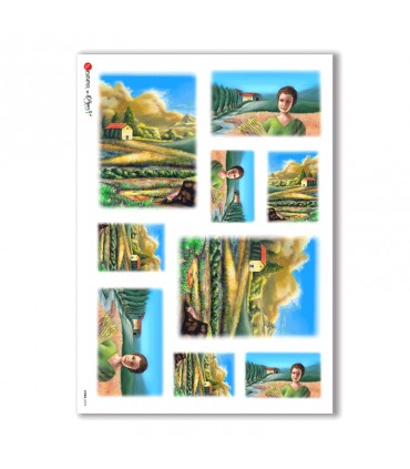 VIEWS-0025. Landscape Rice paper  for the decoupage.