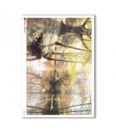 VIEWS-0049. Carta di Riso paesaggi per decoupage