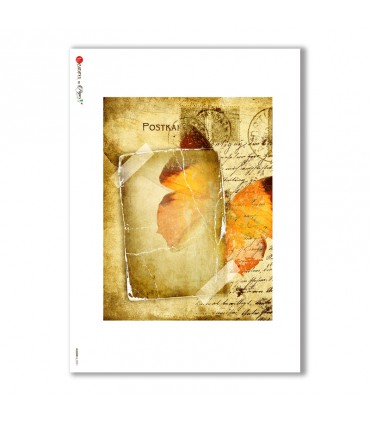 ALBUM-L-0021. Carta di riso album per decoupage.