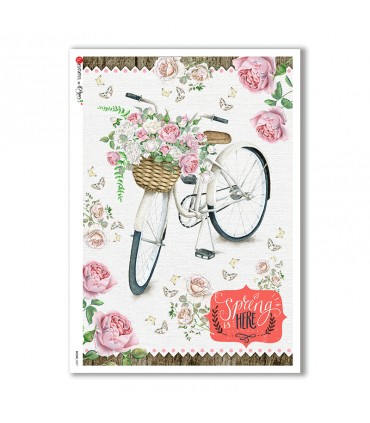 SCENE-0027. Papel de Arroz pictórico para decoupage.