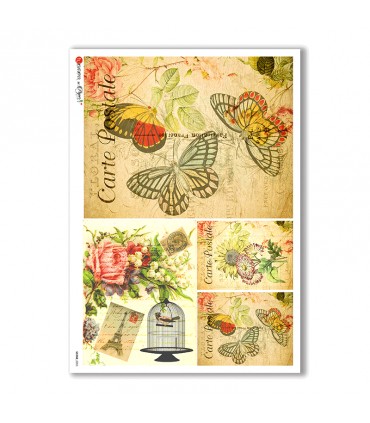 SCENE-0053. Carta di riso pittorico per decoupage.