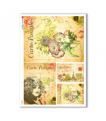 SCENE-0055. Papel de Arroz pictórico para decoupage.