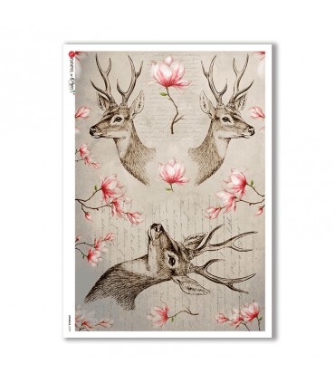 ANIMALS-0099. Animals Rice Paper for decoupage.