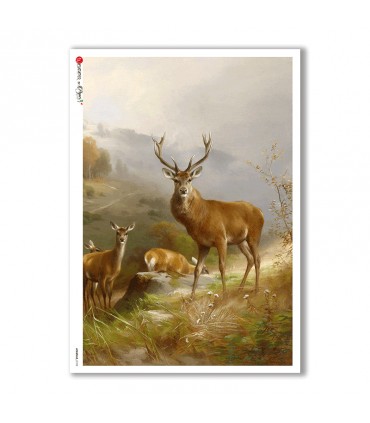 ANIMALS-0102. Animals Rice Paper for decoupage.