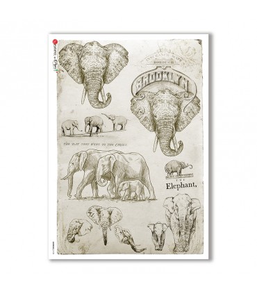 ANIMALS-0108. Animals Rice Paper for decoupage.