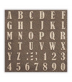 LEATHER - 009. Scrapbooking one sheet