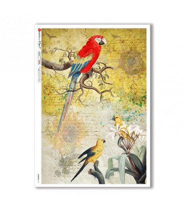 ANIMALS-0132. Animals Rice Paper for decoupage.