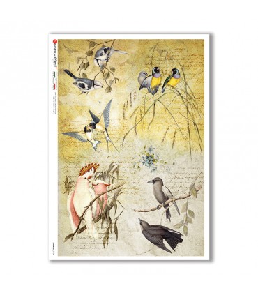 ANIMALS-0134. Animals Rice Paper for decoupage.