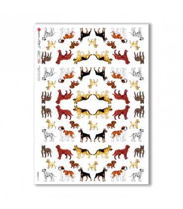 ANIMALS-0135. Carta di riso animali per decoupage.