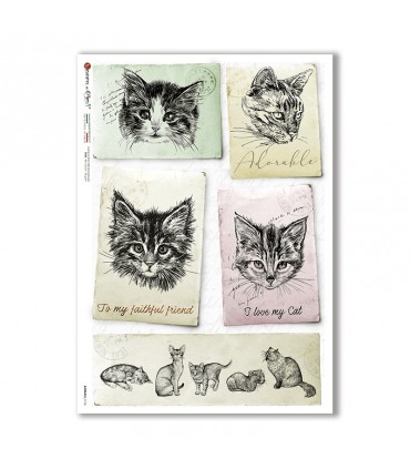 ANIMALS-0136. Carta di riso animali per decoupage.