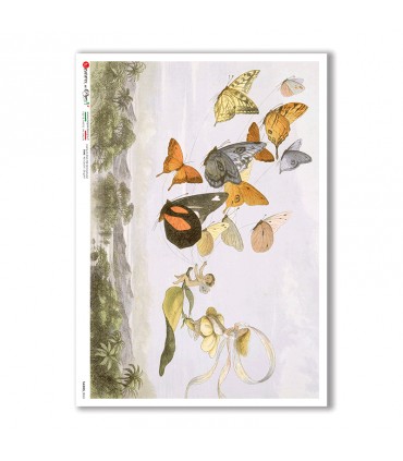 FAIRIES-0063. Carta di riso fate per decoupage.