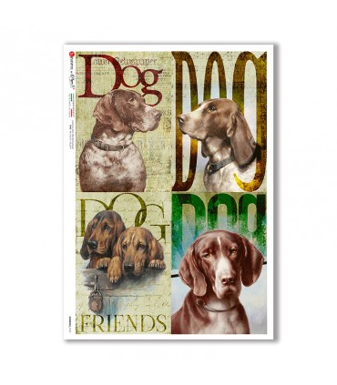 ANIMALS-0141. Animals Rice Paper for decoupage.