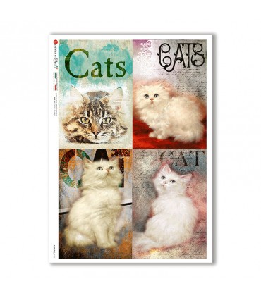 ANIMALS-0142. Carta di riso animali per decoupage.