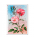 FLOWERS-0351. Papel de Arroz flores para decoupage.