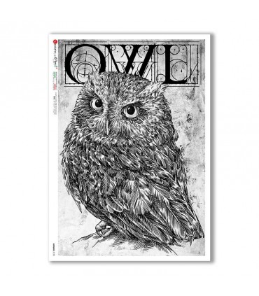 ANIMALS-0152. Animals Rice Paper for decoupage.